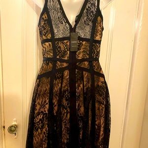 Taped scalloped lace dress